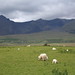 Brandon Lamb Photo 32