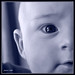 Ethan Lee Photo 21