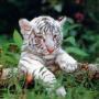 Theresa Hawes Photo 5