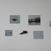 Sara Harwood Photo 21