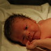 Vincent Bradley Photo 16