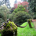 Anne Groves Photo 34