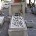 Rachel Graves Photo 20