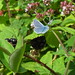 Lorraine Thomas Photo 18