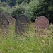 Philip Barton Photo 10