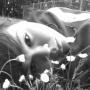 Robin Ryan Photo 41