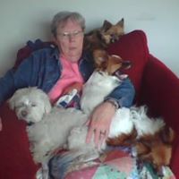 Judy Vanek Photo 4