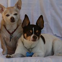 Ann Kruse Photo 13