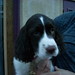 Anne Tillman Photo 11