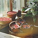 Sandra Ware Photo 16