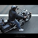 Aaron Leitz Photo 5