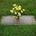 Elizabeth Wiley Photo 25