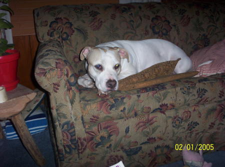 Nancy Robbins Photo 33