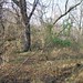 Dorothy Miller Photo 14