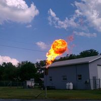 Martin Randolph Photo 22