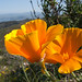 Alice Cahill Photo 14