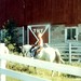 Jim Rode Photo 13