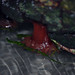 Laura Dickson Photo 15