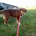 Cassie Shepard Photo 16