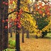 Jeannie Maple Photo 12