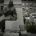 Armando Aviles Photo 16