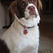 Judy Mackie Photo 12