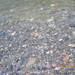 Wiley Meadows Photo 9