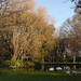 Stephen Swan Photo 34