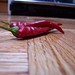Sarah Hollen Photo 12