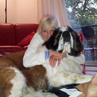 Diane Haslam Photo 14