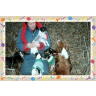 Carol Case Photo 20