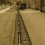 Jeanne Andersen Photo 17