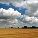 Easton Wood Photo 12