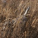 Graham Hunt Photo 11