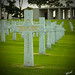 William Thomas Photo 14