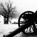 Steven Cannon Photo 13