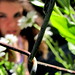 Jackie Cain Photo 11