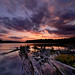 Peter Pine Photo 8
