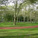 Mary Mott Photo 9