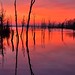 Dawn Howell Photo 18