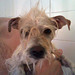Billi Rather Photo 2