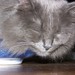 Wanda Day Photo 23