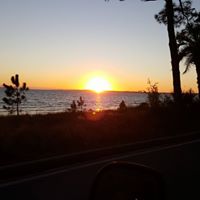 George Weeks Photo 17