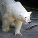 Christopher Hargis Photo 11