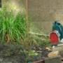 Robert Monahan Photo 27