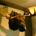 Susan Beaver Photo 30