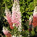Erica White Photo 46