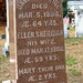 David Donahue Photo 42