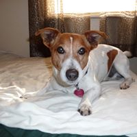 Debra Neads Photo 1