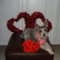 Kathryn Springer Photo 18